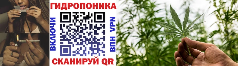 Канабис Bruce Banner  гидра ссылка  Чита  как найти закладки 